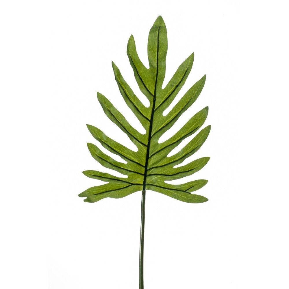 PHILODENDRON-BLAD EMERALD 100 CM