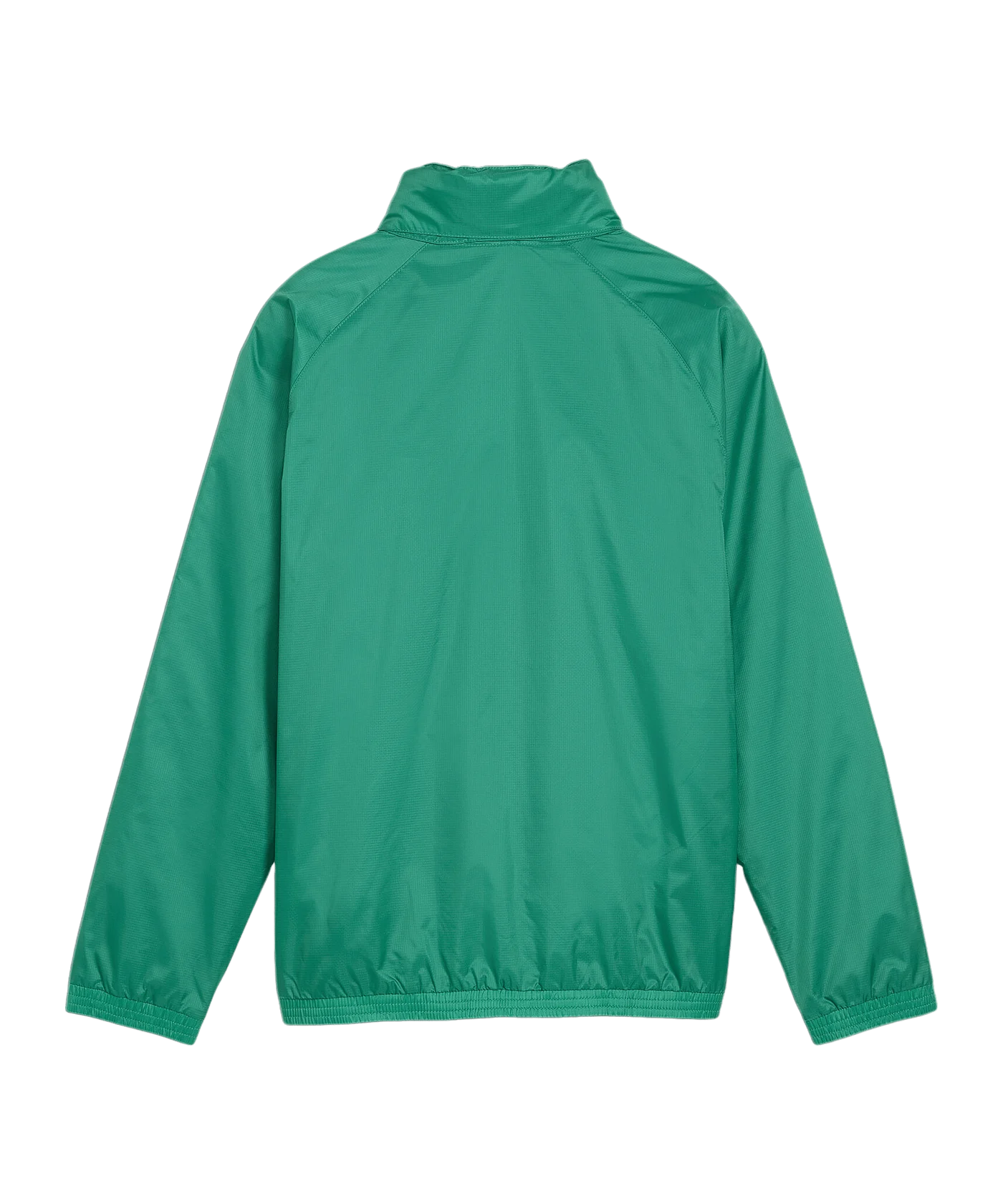 PUMA teamGOAL Allwetterjacke Kids Grün Weiss F05