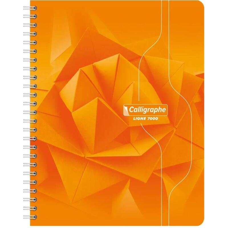 Cahier reliure intégrale 7000 17x22 cm 100 pages petits carreaux 70 g - Assortis