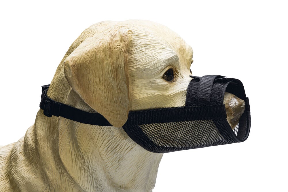 Beeztees - Muilkorf Hond - zwart - 19.5 cm