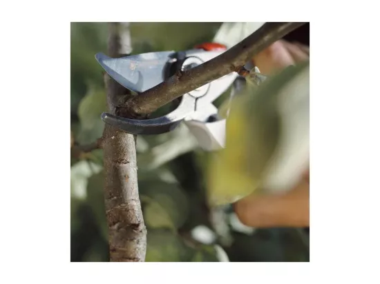 GARDENA Secateur BP 50 Premium - O24mm max - Lames franches acier inox - Poignee ergonomique - Garantie 25 ans 8702-20
