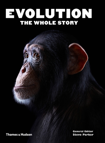 Evolution: The Whole Story (Paperback)