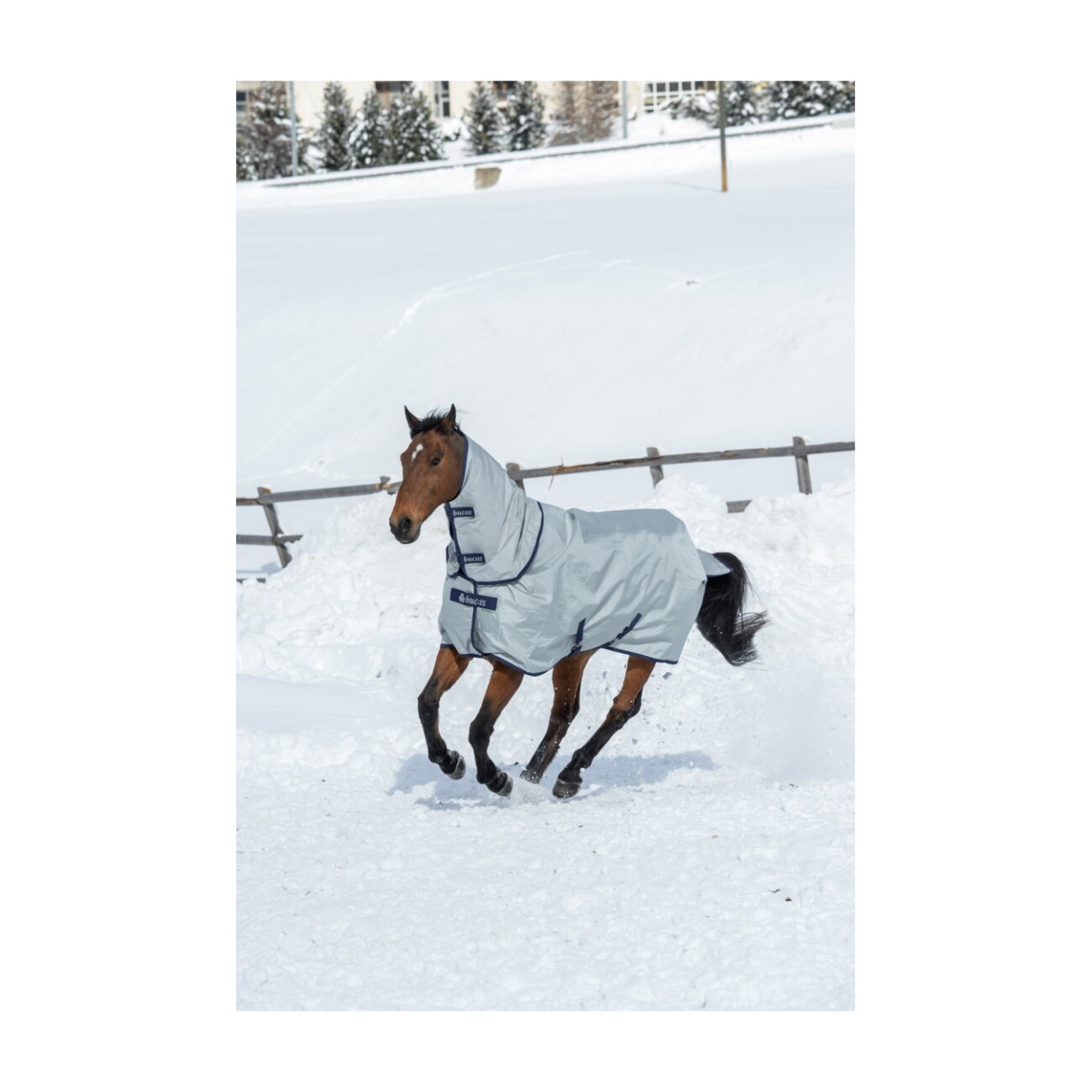 Bucas Halsteil Power Turnout Combi M