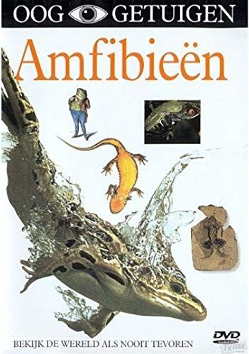 Ooggetuigen - amfibieen