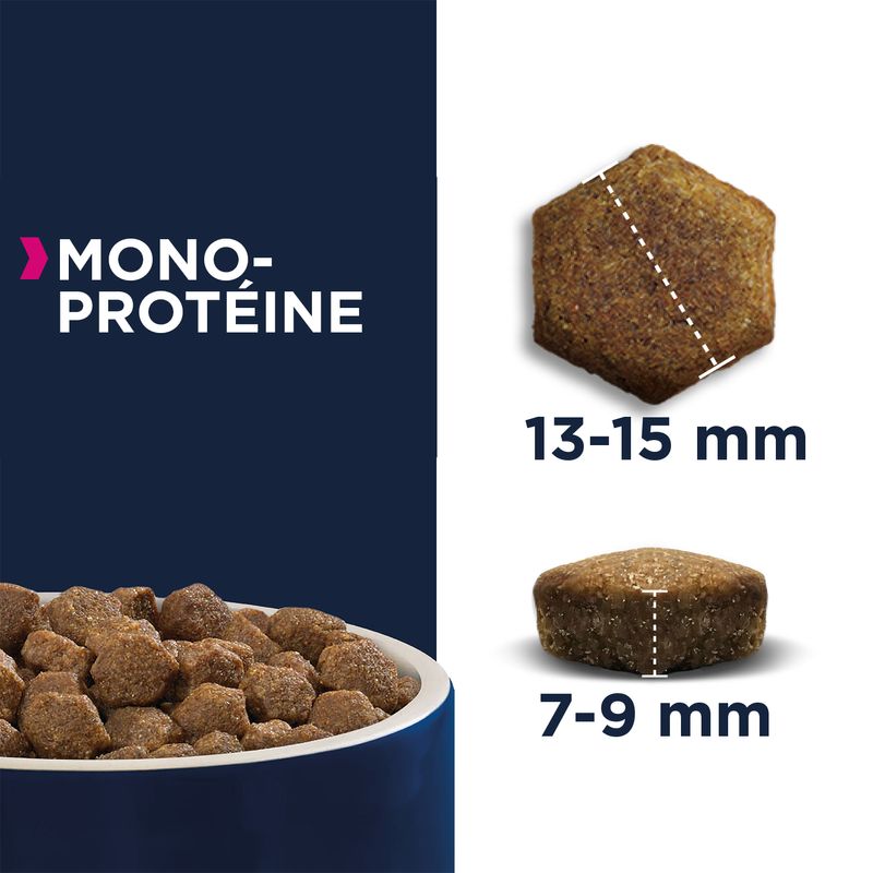 Eukanuba Adult Mono-Protein au saumon