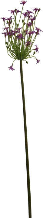 Jasaco kunstbloem Ornithogalum paars 71 cm