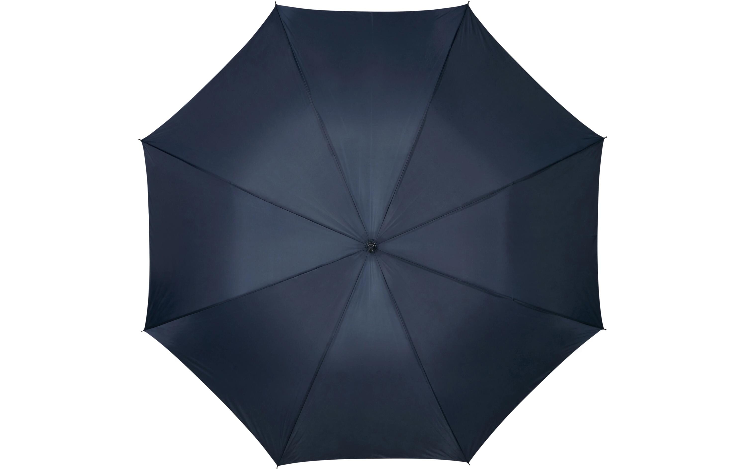 Schirm Rain Pro Stick BlauLangschirm