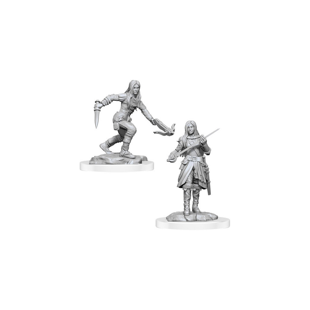 D&D Nolzur's Marvelous Unpainted Miniatures: Half-Elf Rogue Female