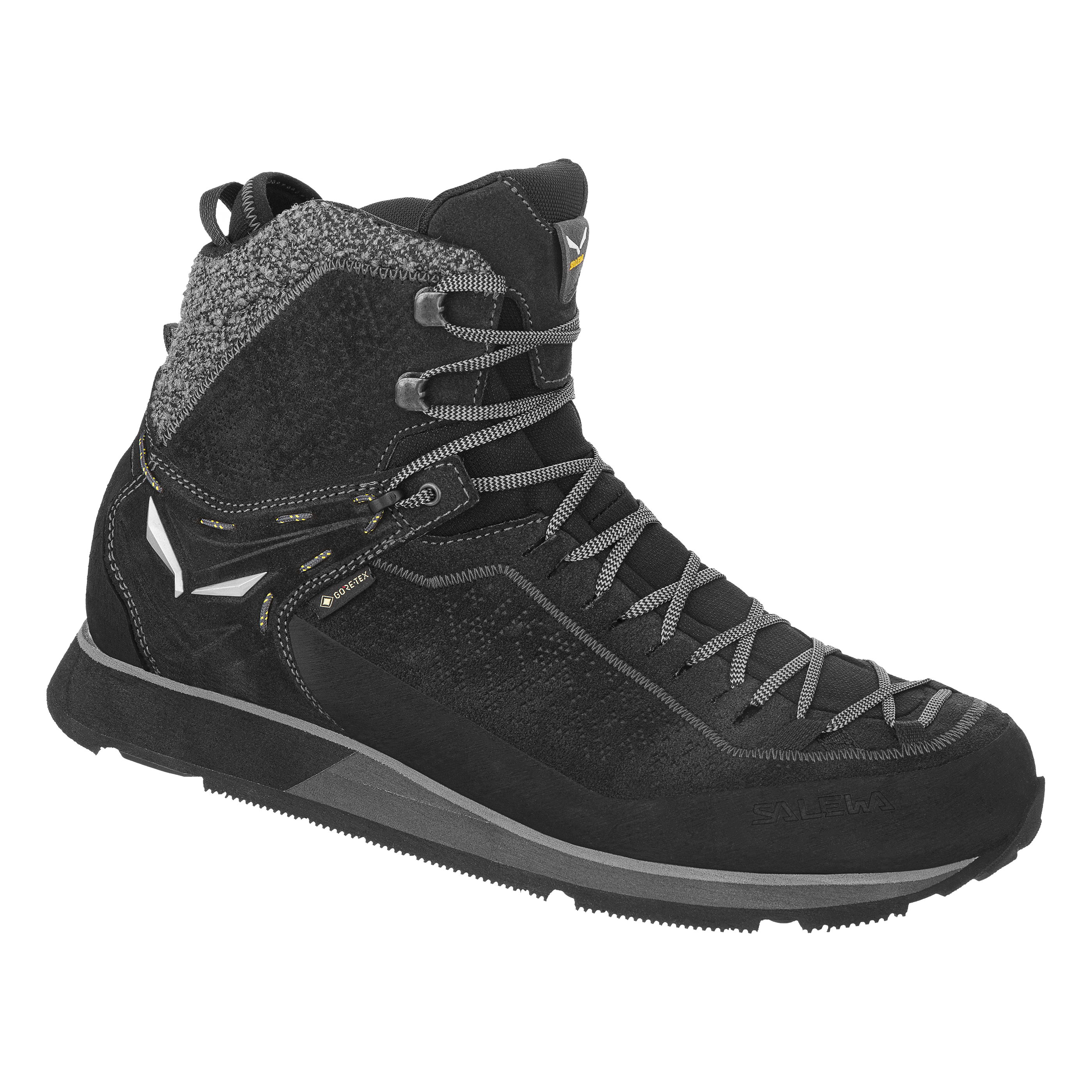 Mountain Trainer 2 Winter GORE-TEX® Herren Schuhe
