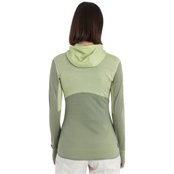 Veste polaire randonnée ICEBREAKER W MERINO 200 REALFLEECE DESCENDER LS ZIP H GLAZEN/LICHEN/CB