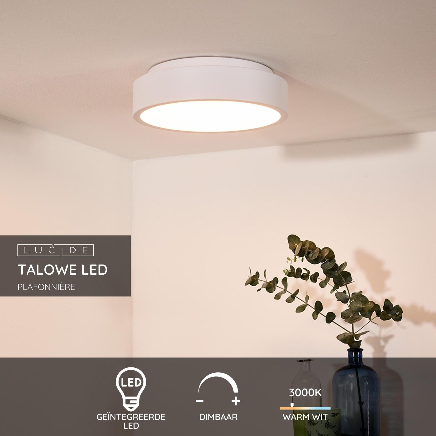 Lucide TALOWE LED PlafonniÃ¨re - Wit