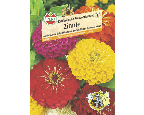 Zinnia 'California Giant Mix' Sperli Bloemzaden