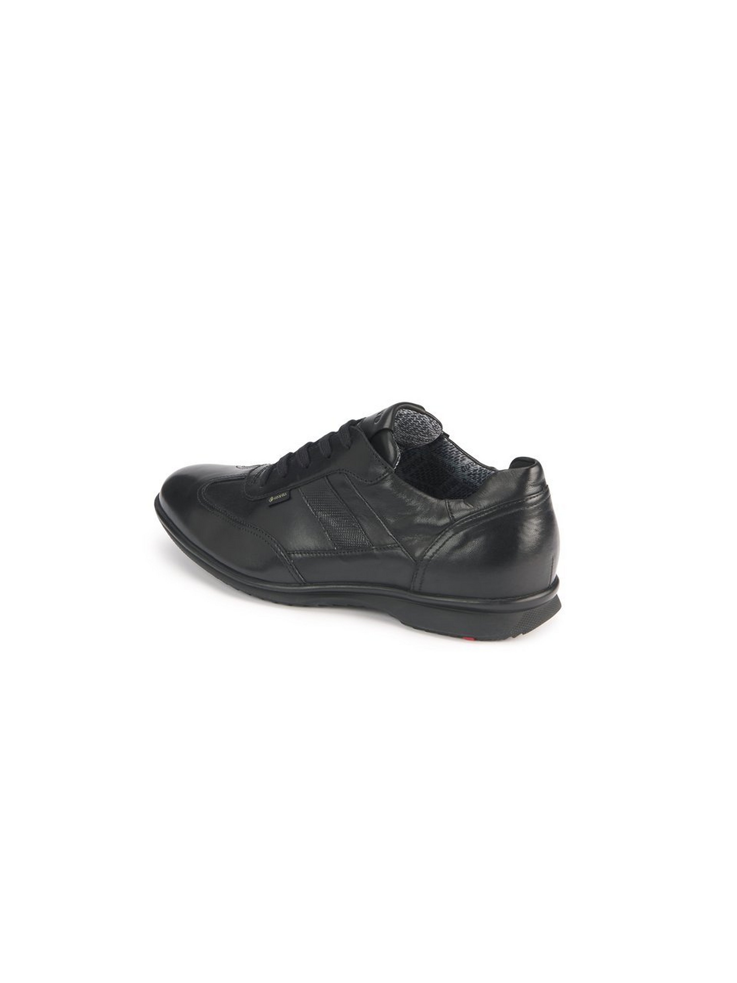Sneaker Vernon