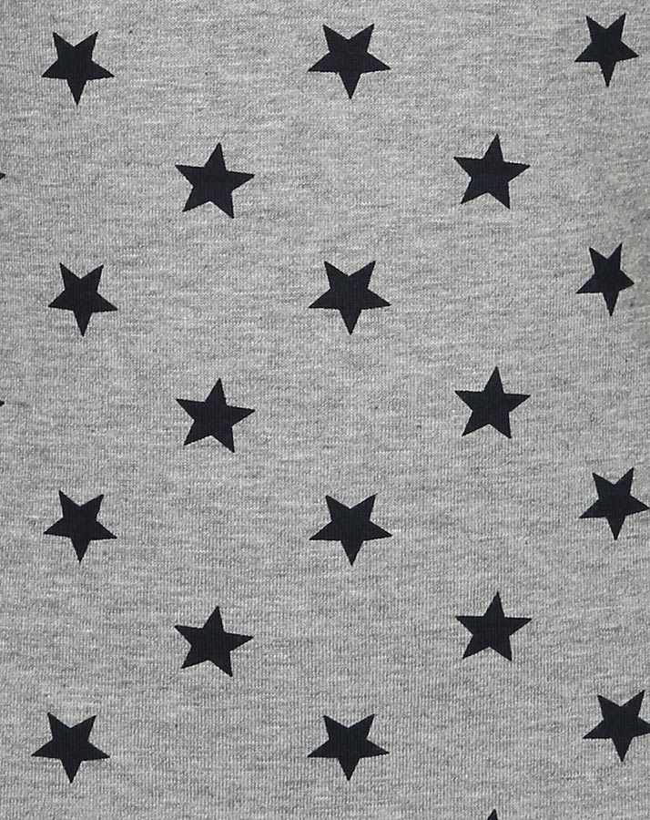 Langarmshirt NAVY STARS mit Logo in grau melange