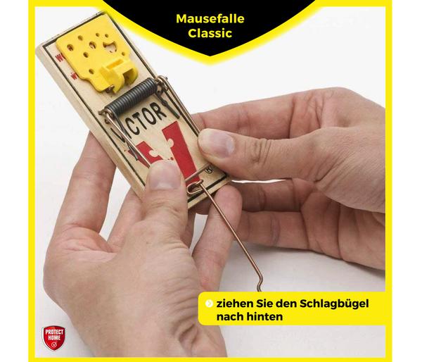 PROTECT HOME Mausefallen Classic, 2 Stk.