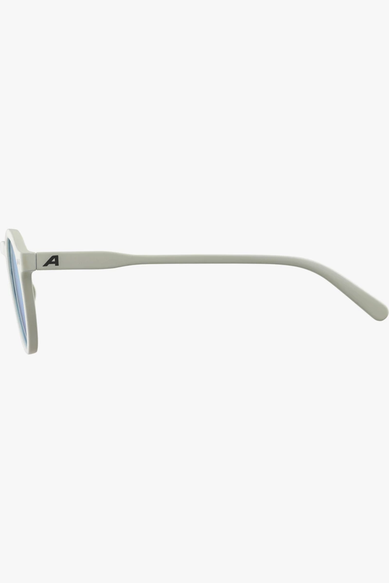 ALPINA Sneek Sonnenbrille