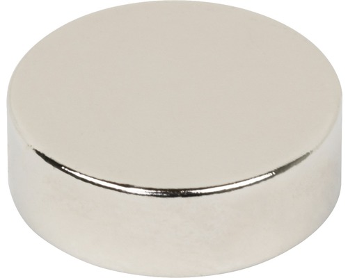 Neodymium schijfmagneet Ø 15x5 mm, 6 st.