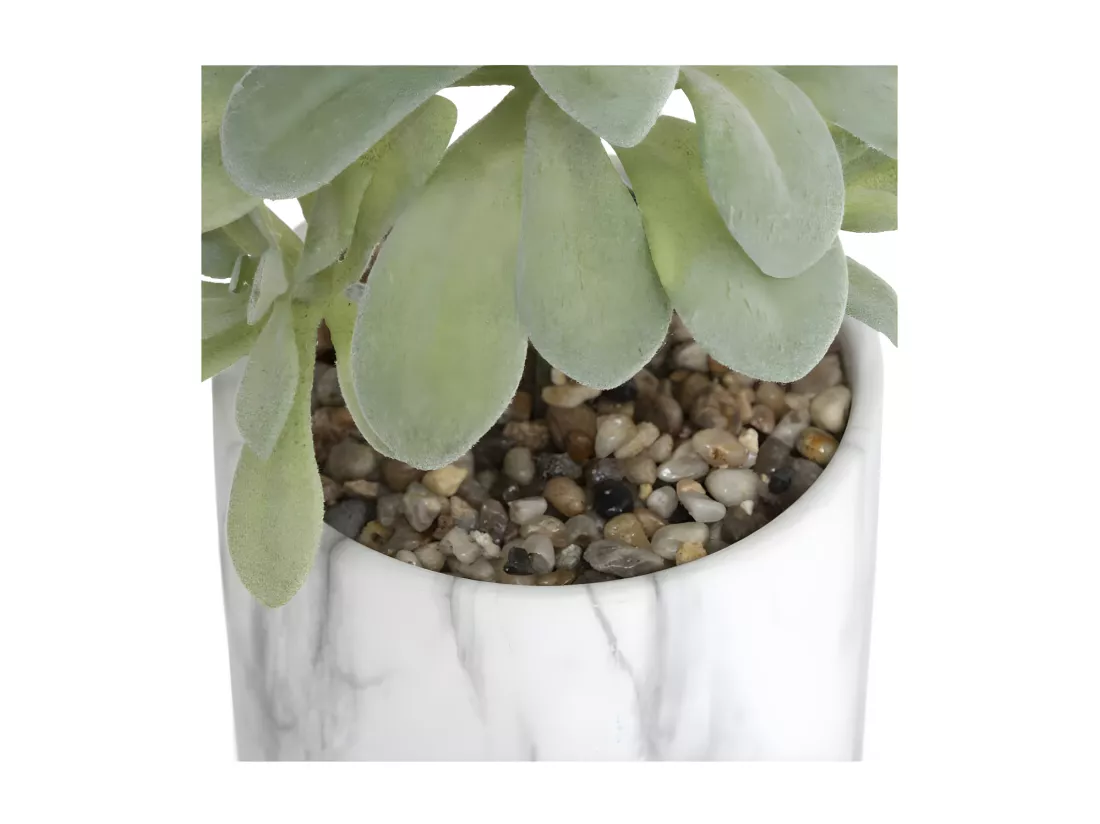 Plante Artificielle & Cloche 