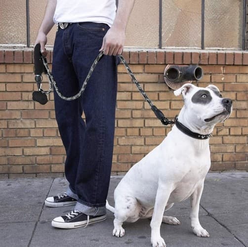 Hundebånd med Refleks / Bånd til Hund - 3m