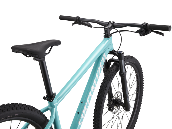 Specialized Rockhopper Expert 29