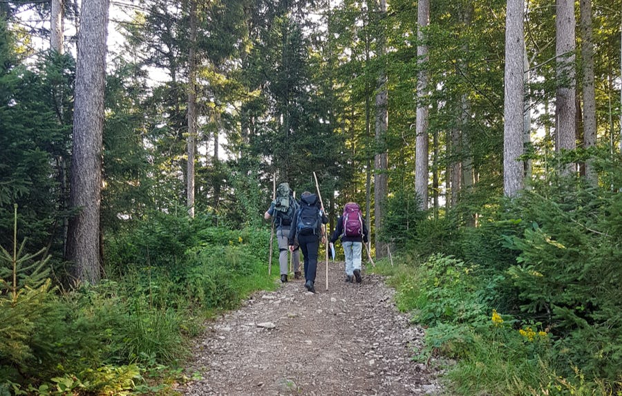 Bogenschießen Bad Peterstal-Griesbach