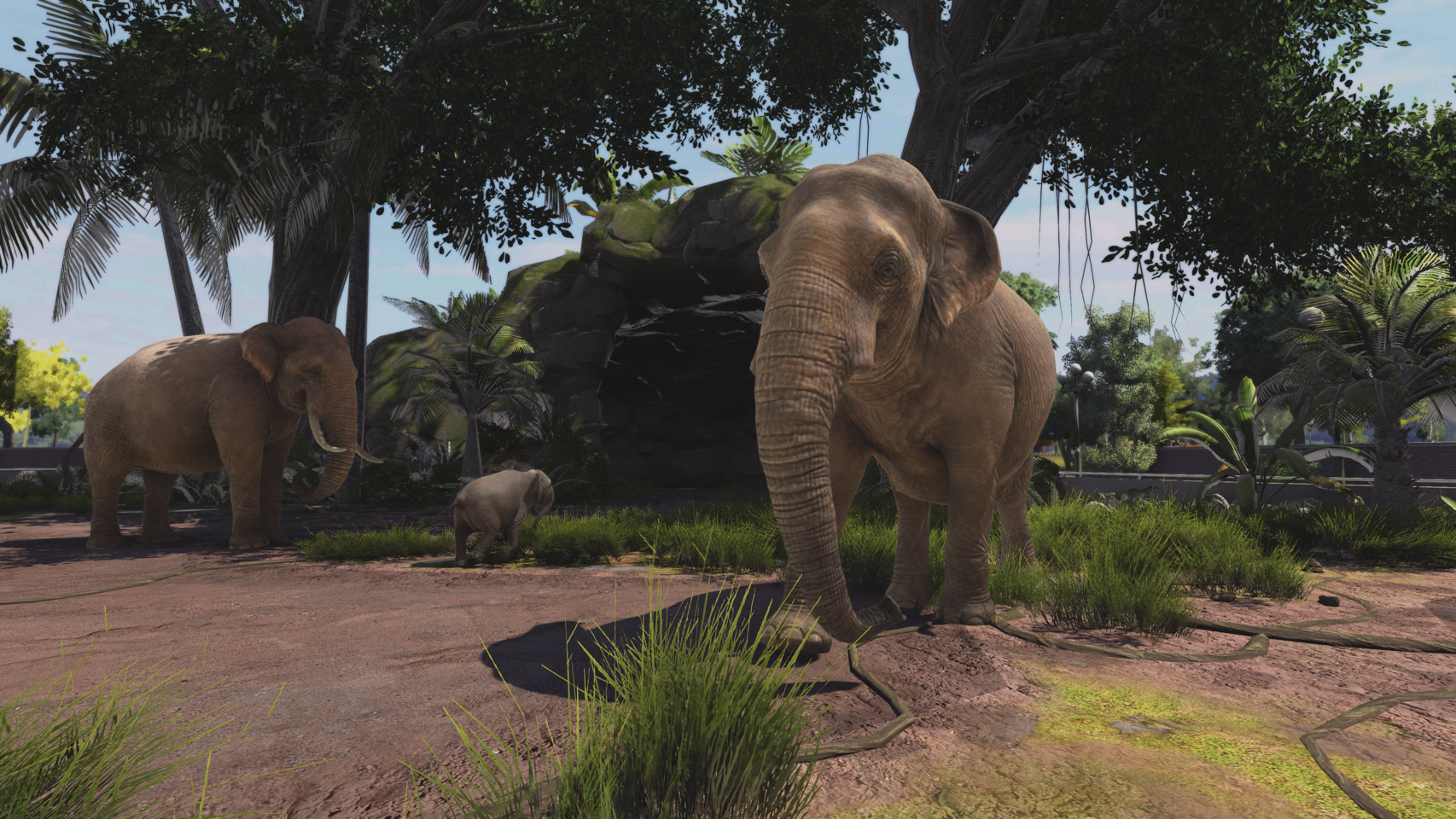 Zoo Tycoon: Ultimate Animal Collection- PC
