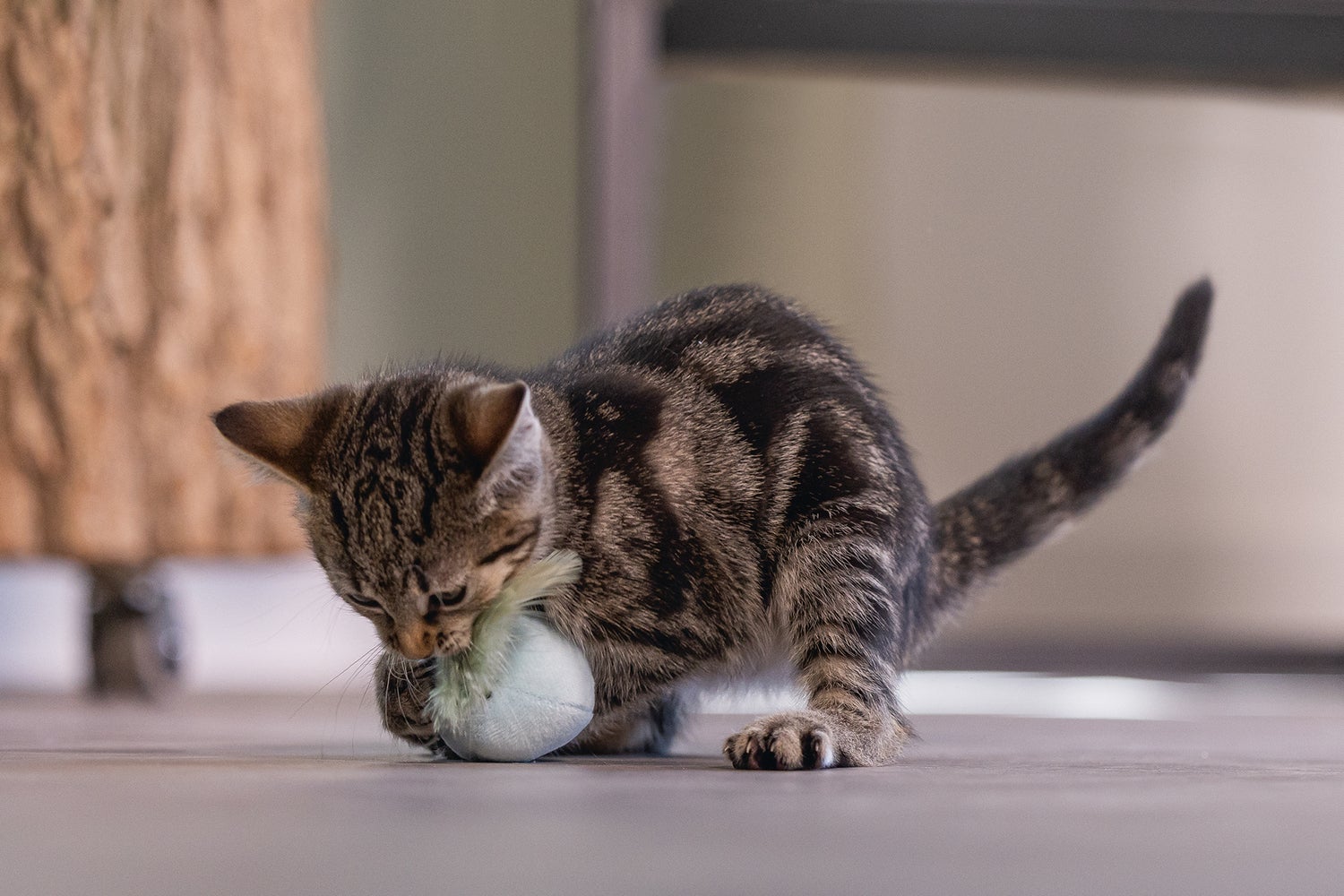 Beeztees kattenspeelgoed speelbal met veer Rizo grijs D 5 H 12 cm