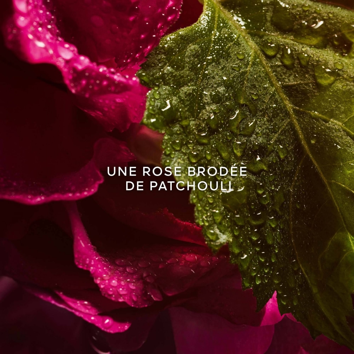 GUERLAIN La Petite Robe Noire Eau de Parfum Absolue