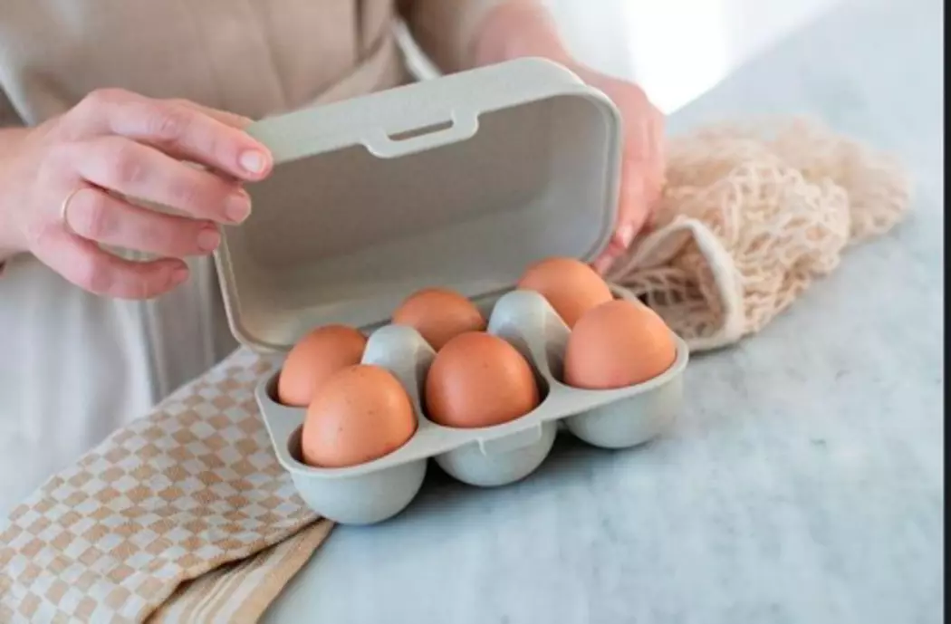 Aufbewahrungsbox Eggs to go 17 x 11,8 cm