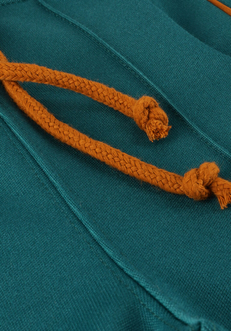 AMMEHOELA groene ammehoela joggingbroek am.jax.22