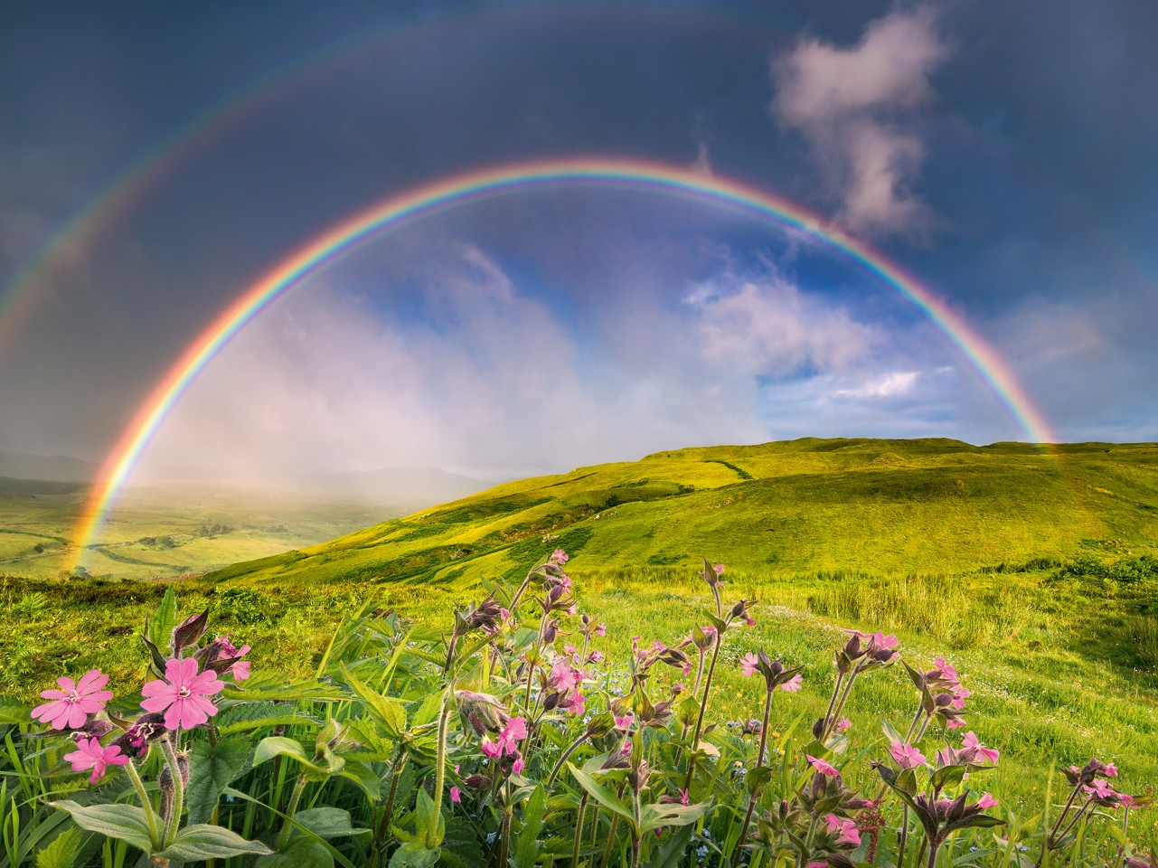 Ravensburger - Puslespil Rainbowscape 1500 brikker
