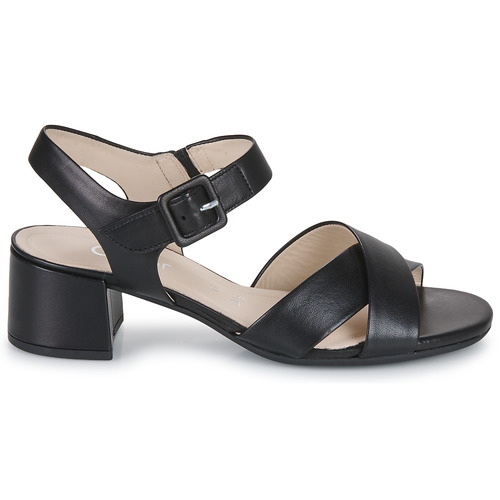 Gabor - 2291327 Negro