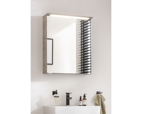 FACKELMANN Oxford spiegelkast, 60,2 x 20 x 69,6 cm, eiken natuur, 1-deurs, LED, IP20