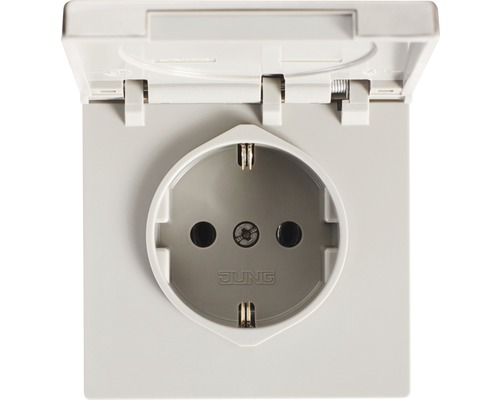 Jung ES 1520 KL stopcontact met klapdeksel, roestvrij staal LS990/LS uitvoering