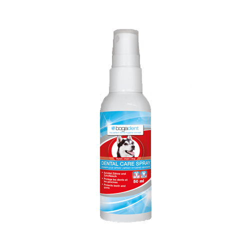 Bogadent Dental Care Spray - Hond