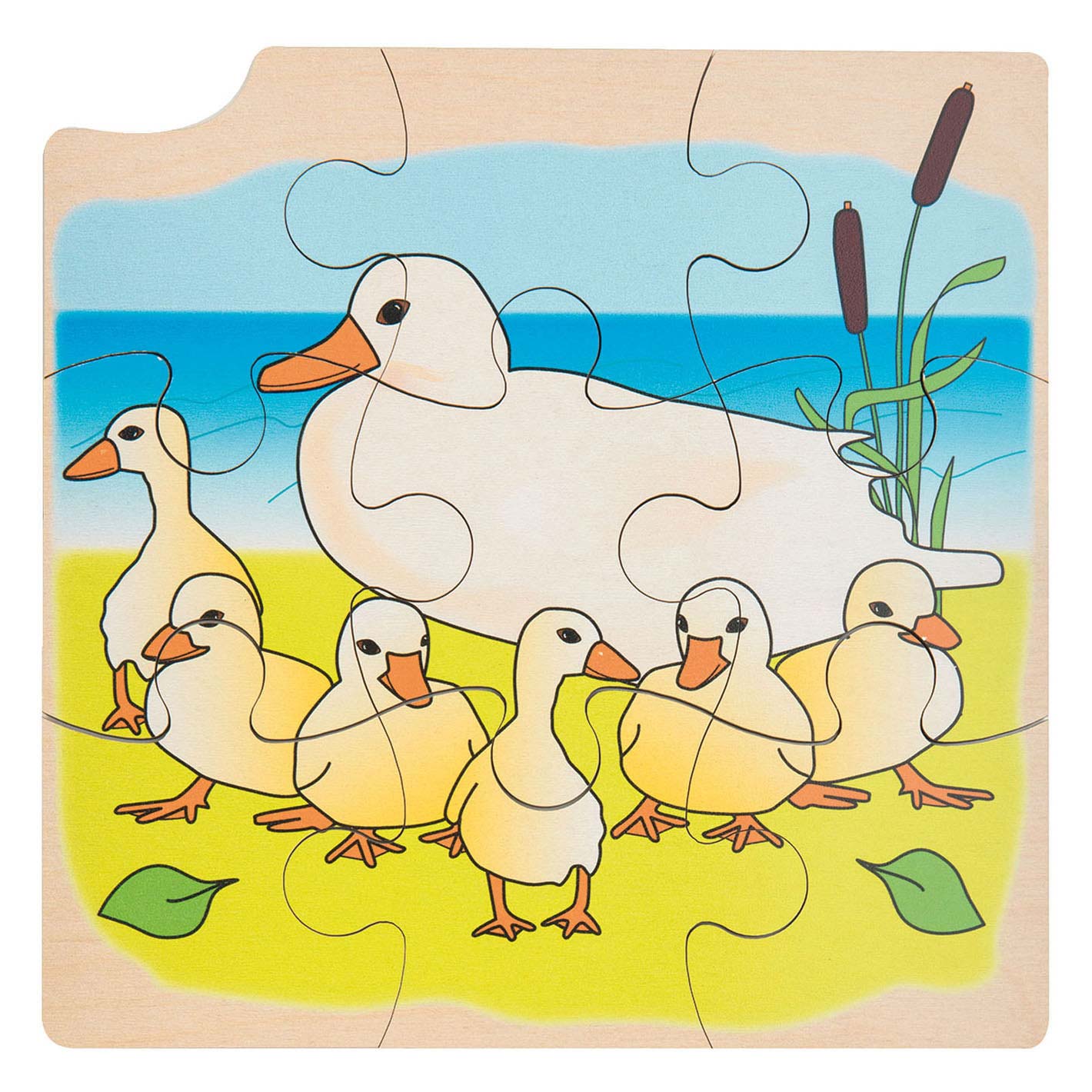 Rolf - Groei en 4 Lagenpuzzel, 36st.