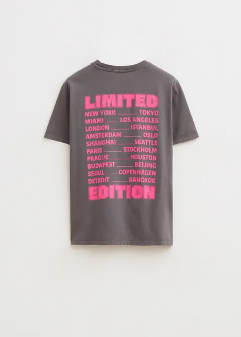 T-shirt met print dreamland grijs (GRS.D)