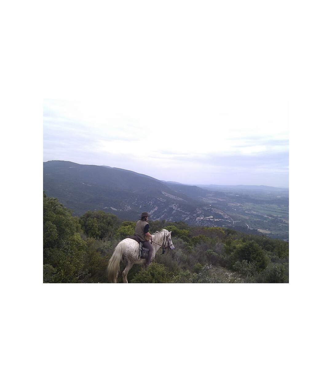 Journée de balade, randonnée à cheval ou cours d'équitation - SMARTBOX - Coffret Cadeau Sport & Aventure