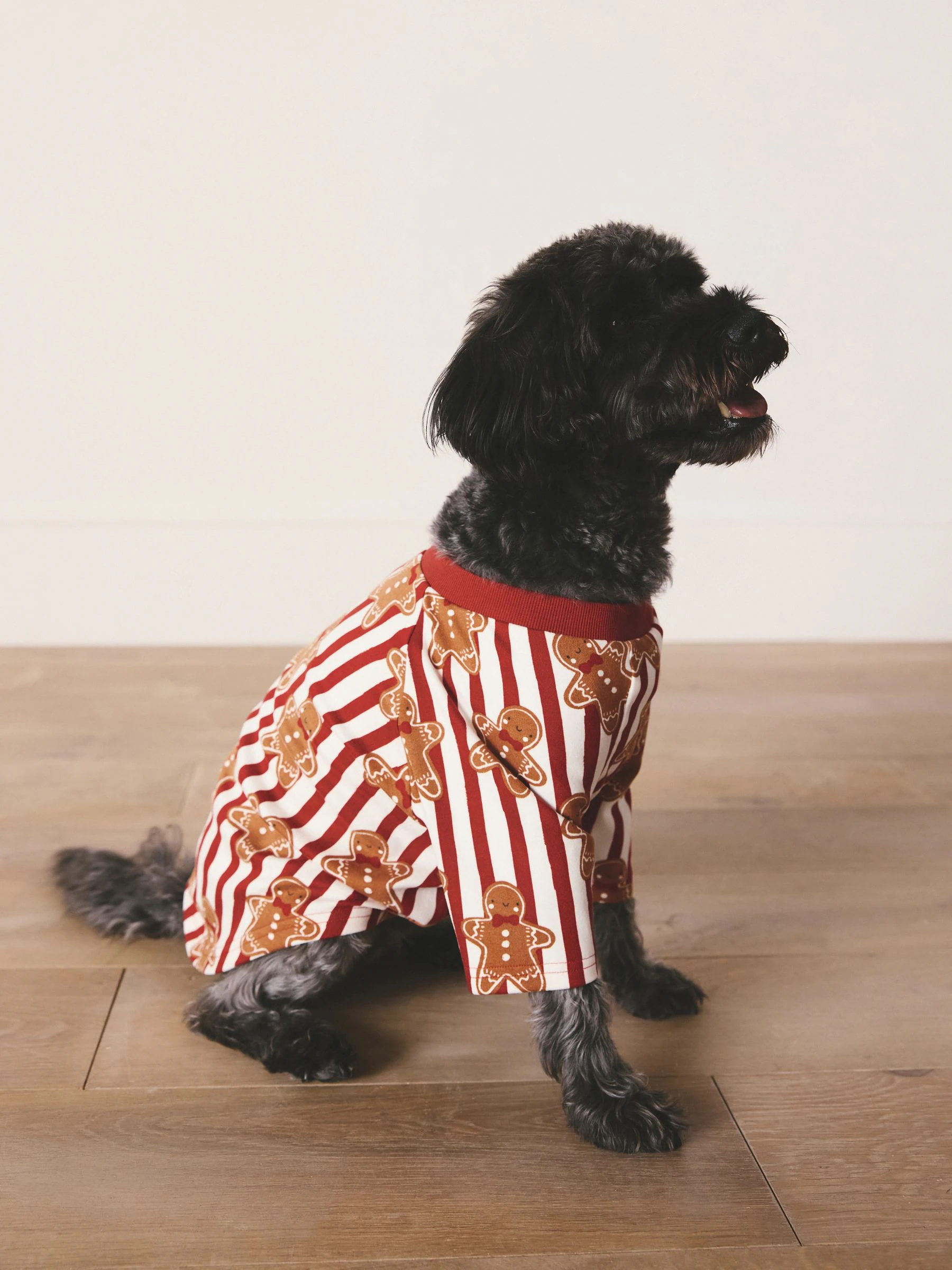 Rood met peperkoekenmannetje - Matching Family - Behaaglijke kerstpyjama voor huisdieren
