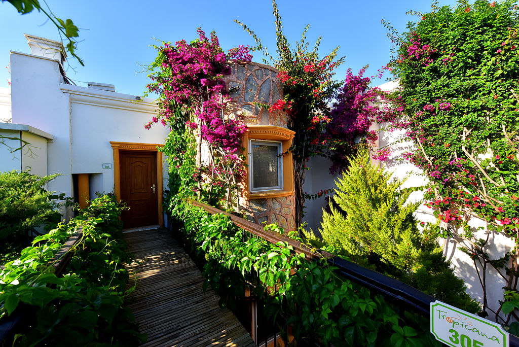 Tropicana Beach Logies - Appartement