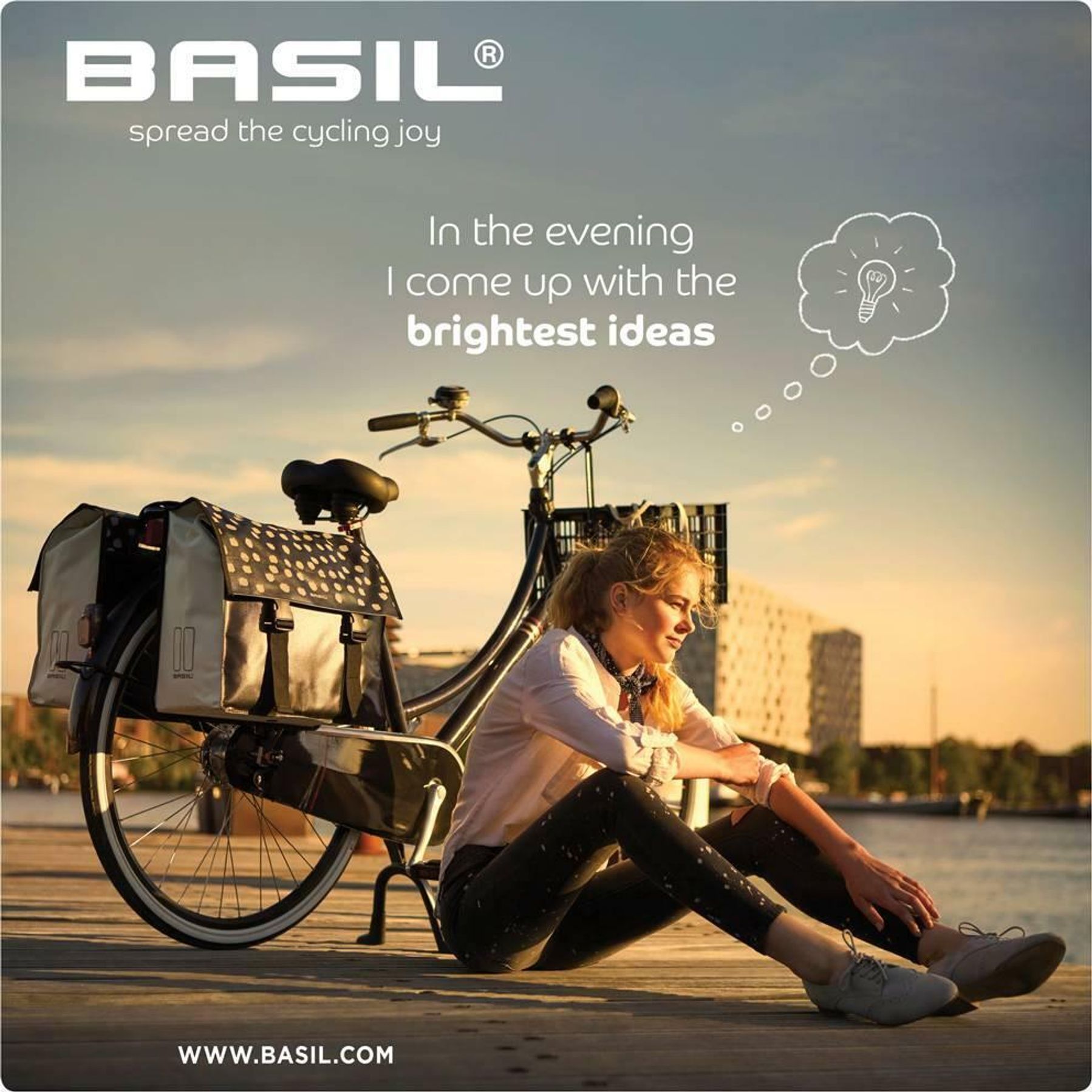 Basil Urban Load Dubbele Fietstas