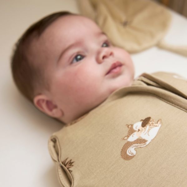 Inbakerslaapzak Cocoon Forest Animals Sand