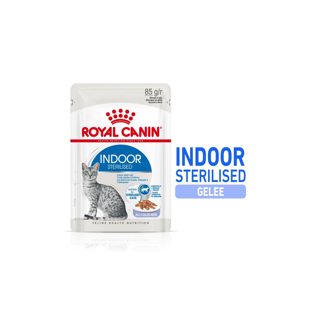 ROYAL CANIN Indoor Sterilised Adult in Gelee 12x85 g
