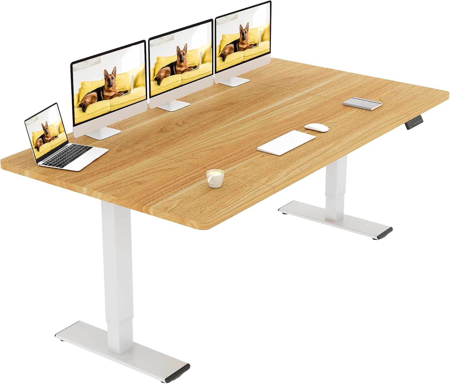 SANODESK Höhenverstellbarer Schreibtisch 180×80 cm – Elektrischer Standing Desk mit Dualmotor, Extra stabilem Gestell & Memory-Funktion(weiß+ahorn)