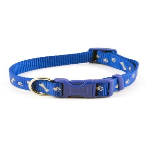 Coleira para cães Ancol Paw n Bone em nylon com estampa de osso azul