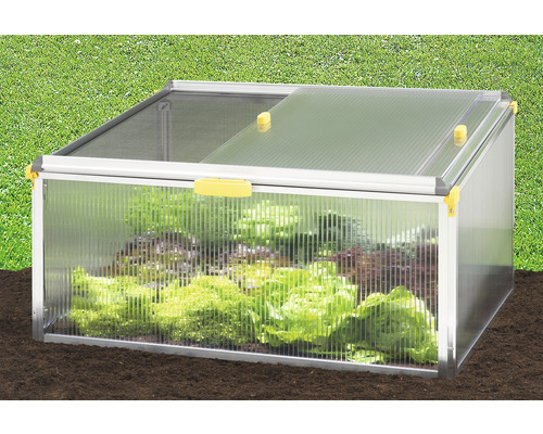 JUWEL Biostar Protect 1000 kweekkas inclusief ongedierte- en weersbescherming, 100 x 75 cm