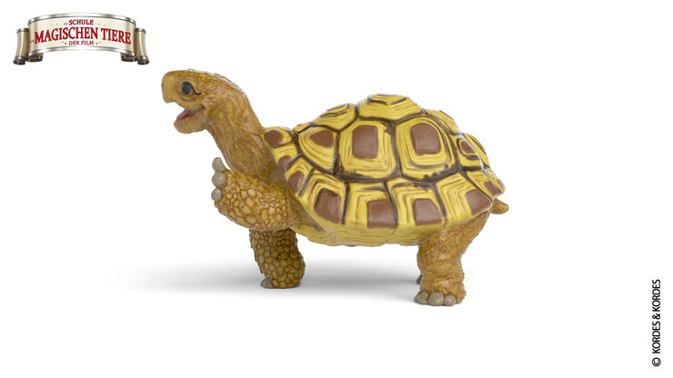 Schleich schleich Skildpadden Henr