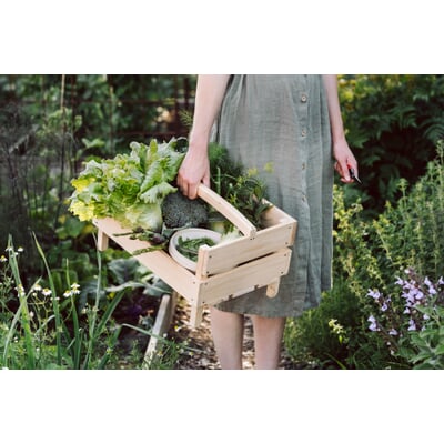 Kleine Gartenschere