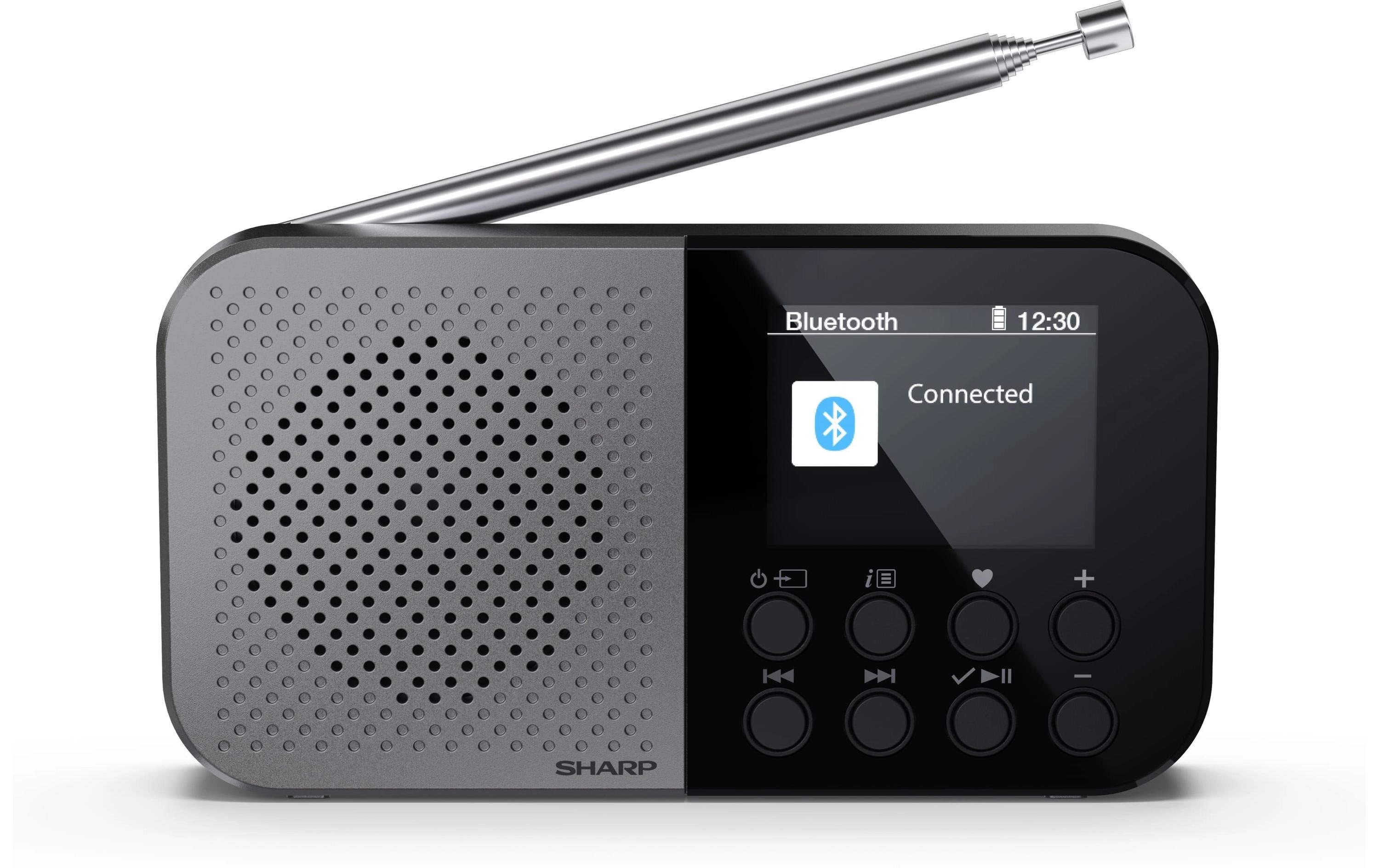 DAB+ Radio DR-P520 GrauTragbares DAB+ Handradio mit RDS