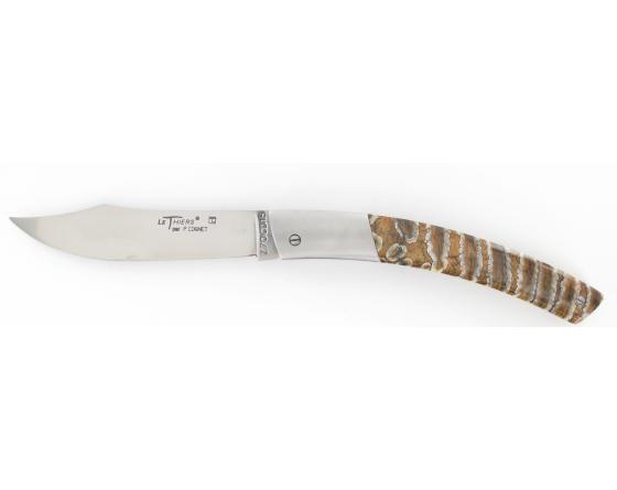 Le Thiers Molaire de Mammouth Couteau de poche Le Thiers par Cognet Douk Douk